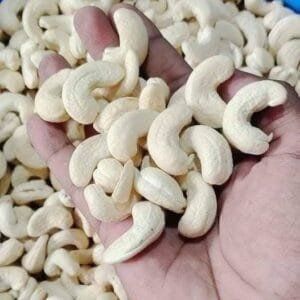 Kaju (کاجو)