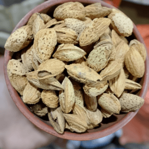 Badam (بادام)