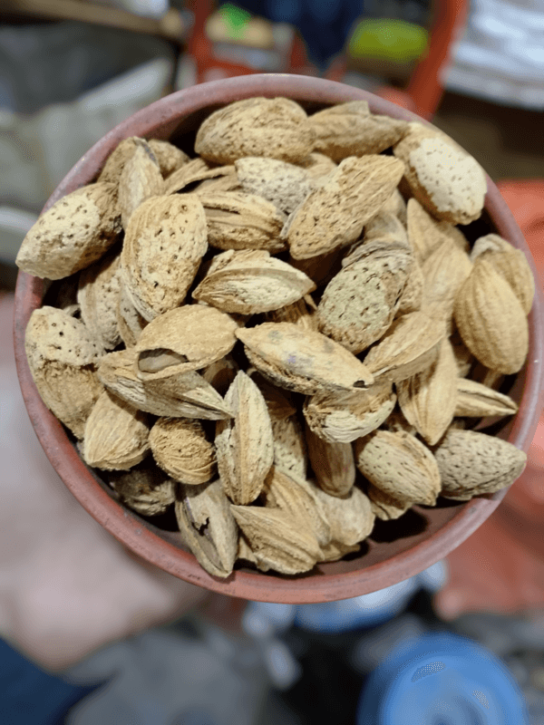 Badam (بادام)