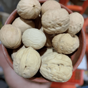 Akhrot (اخروٹ)