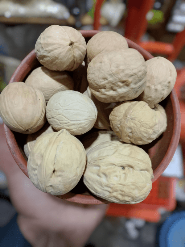 Akhrot (اخروٹ)