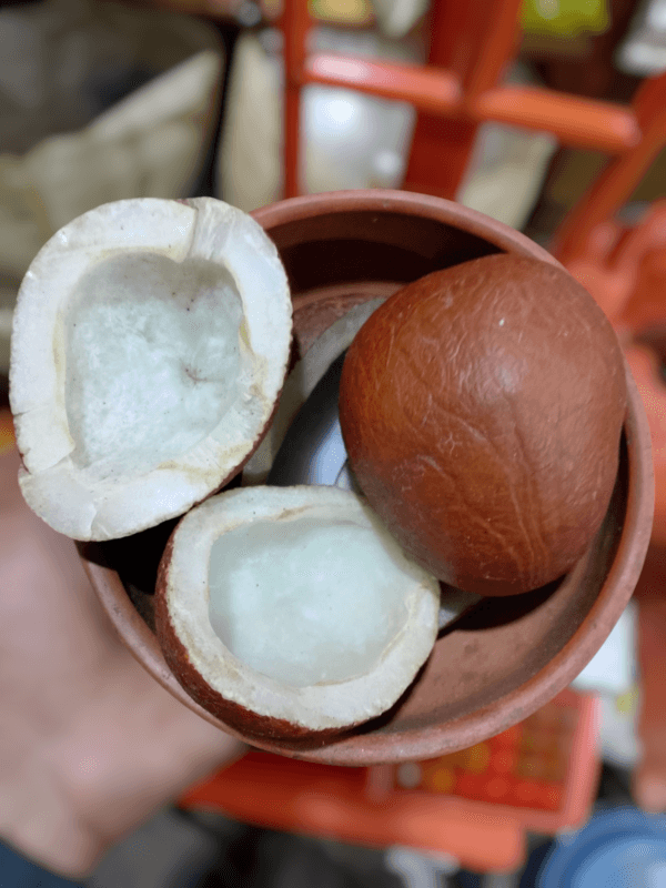 Kopra, Nariyal (خشک ناریل)