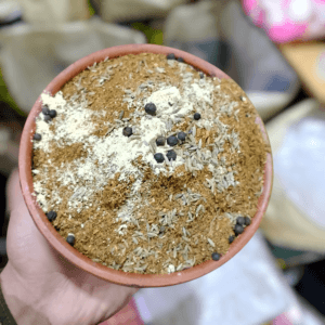 Original Garam Masala (اوریجنل گرم مصالحہ) – Premium Mixed Spices
